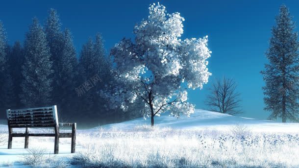 雪地冬季大树凳子海报背景背景