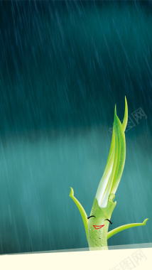 雨水中的绿芽H5背景背景