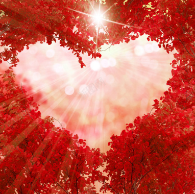 红叶树组成的心形边框创意背景背景