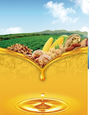 天然玉米油核桃油背景图背景