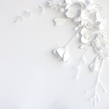 纯白剪纸艺术花朵海报背景背景