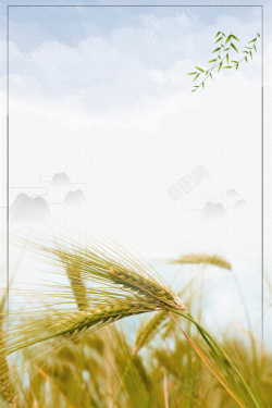 麦子边框简约创意芒种节气海报高清图片