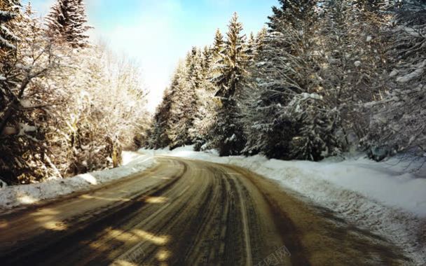 雪后的道路落雪的树背景