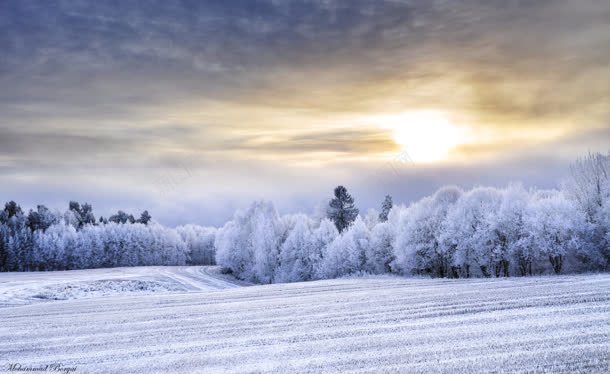 阳光普照大雪堆积jpg设计背景_88icon https://88icon.com 堆积 大雪 普照 阳光