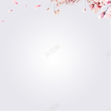 清新文艺粉色花朵主图背景
