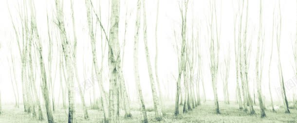 冬季的小树林海报背景jpg设计背景_88icon https://88icon.com 冬季 树林 海报 背景