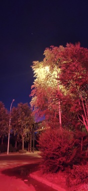 夜晚的路口风景背景