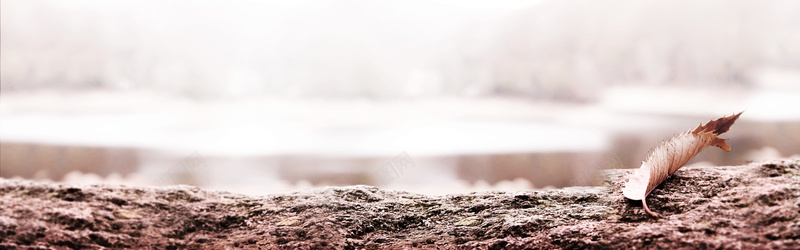 淘宝鞋子背景叶子石头psd设计背景_88icon https://88icon.com 叶子 小清新 文艺 海报banner 淘宝 石头 简约 鞋子背景