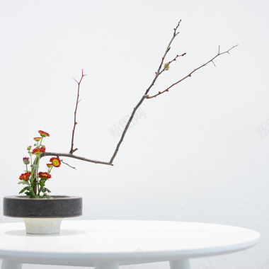 桌子上的盆栽背景图背景