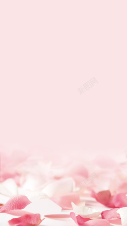 浪漫情人节H5素材粉色浪漫花瓣化妆品H5背景高清图片
