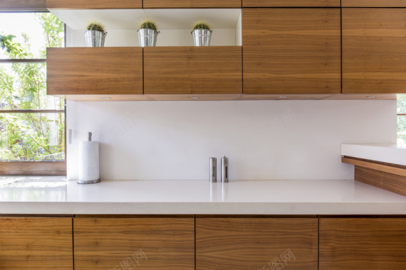 厨房橱柜上的盆栽植物背景背景