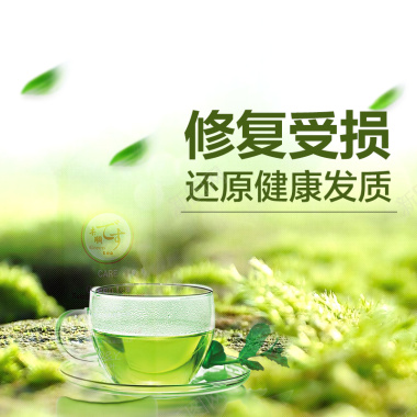 绿色清新洗发水茶叶主图背景