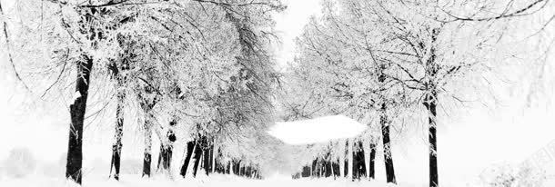 街道树林雪景背景