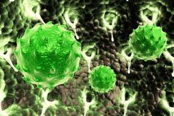 细胞体绿色带刺细胞体高清图片