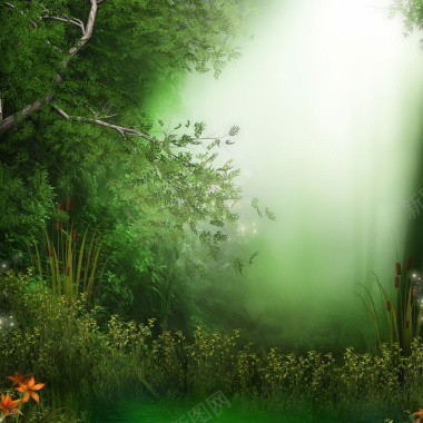 阳光下的森林淘宝主图背景