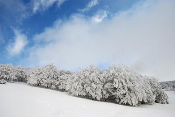 冰山雪山宝贝背景背景