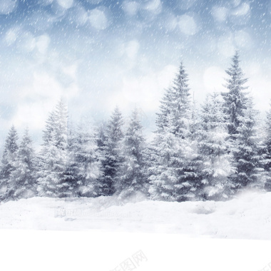 冬季雪景淘宝主图背景摄影图片