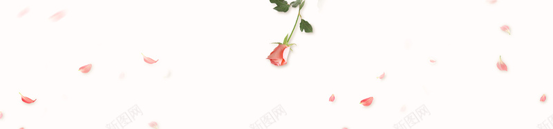 玫瑰花淘宝海报背景背景