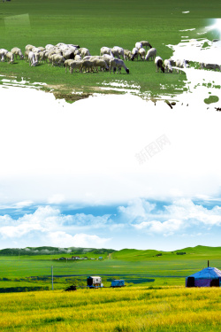 蓝天白云羊群美丽蒙古海报背景高清图片