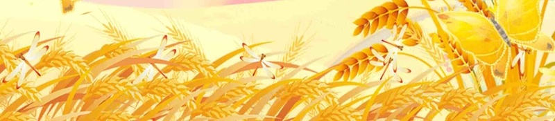 文艺小清新礼惠金秋促销广告psd设计背景_88icon https://88icon.com 促销广告 初秋新品 宣传 小清新 小麦 文艺 枫叶 活动 礼惠金秋 落叶 黄色