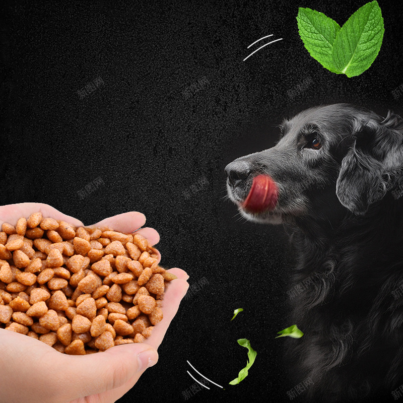 黑色大气风格狗粮宠物实物直通车主图psd设计背景_88icon https://88icon.com 主图 宠物 宠物主图 宠物直通车 狗 狗粮 狗粮主图直通车 猫 猫粮 猫粮主图直通车 直通车 粮食