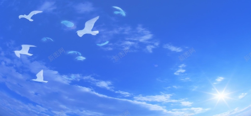 蓝天白云和平鸽背景背景