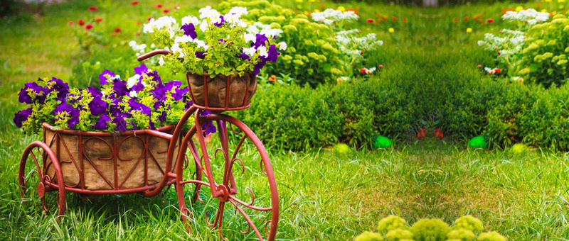 花园中满载花朵的自行车摄影海报背景背景