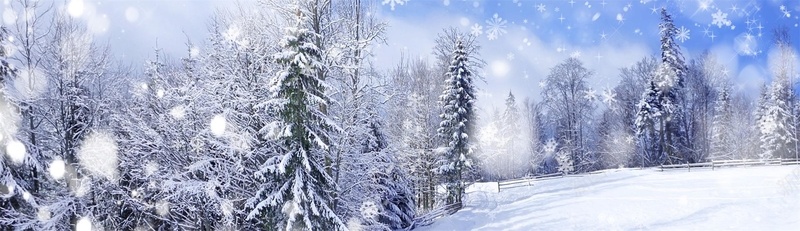 雪景浪漫冬季海报banner背景背景