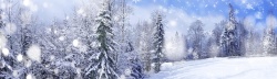 圣诞下雪天雪景浪漫冬季海报banner背景高清图片