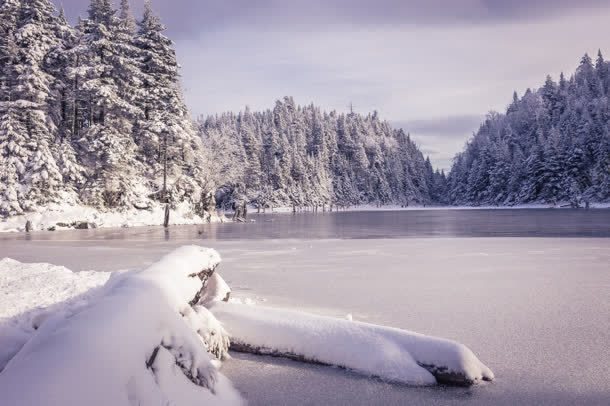 森林冬季湖面雪地jpg设计背景_88icon https://88icon.com 冬季 森林 湖面 雪地