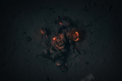 燃烧灰烬灰烬的地面上燃烧的玫瑰花背景高清图片