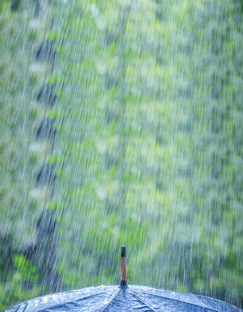 小清新雨季海报背景psd设计背景_88icon https://88icon.com 唯美海报 小清晰 文艺 森系 森系雨季海报 爱上下雨天 雨伞 雨伞海报 雨天海报 雨季海报