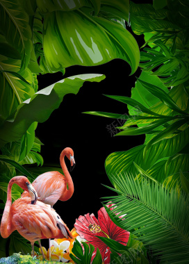 热带雨林海报背景背景