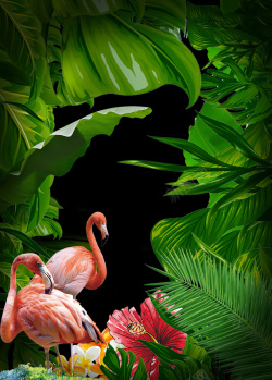 热带宣传海报热带雨林海报背景高清图片