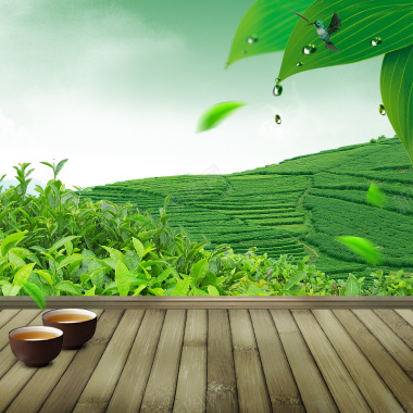 绿色茶园茶叶PSD分层主图背景摄影图片
