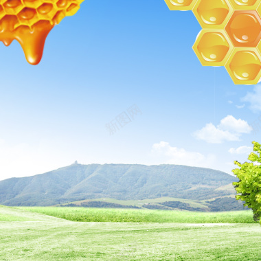蓝天草地蜂巢蜂蜜PSD分层主图背景摄影图片