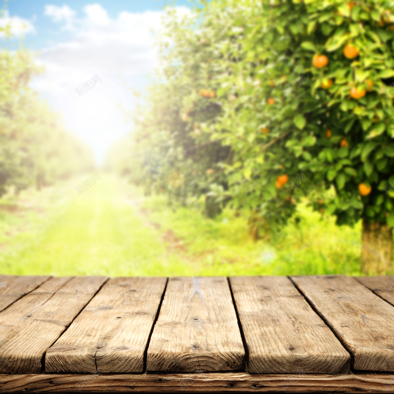 果园和木板平台背景jpg设计背景_88icon https://88icon.com 小清新 文艺 木板 果园 果树 水果 简约 绿色 自然