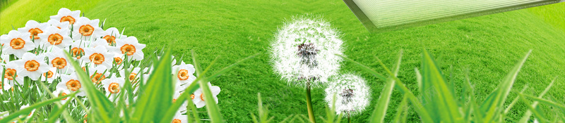 知识学校文化校园文化展板背景cdr设计背景_88icon https://88icon.com 书本 天空 展架 提升生命的意义 校园文化 清新 用知识充实自己 知识 知识学校文化图片下载 草地