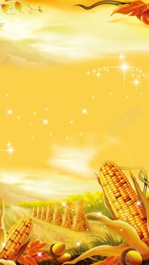 金色秋天玉米丰收麦堆H5背景背景