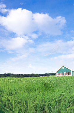 蓝天白云树木房屋草地印刷背景背景