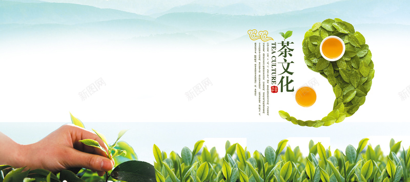 茶叶茶文化清新简约banner背景