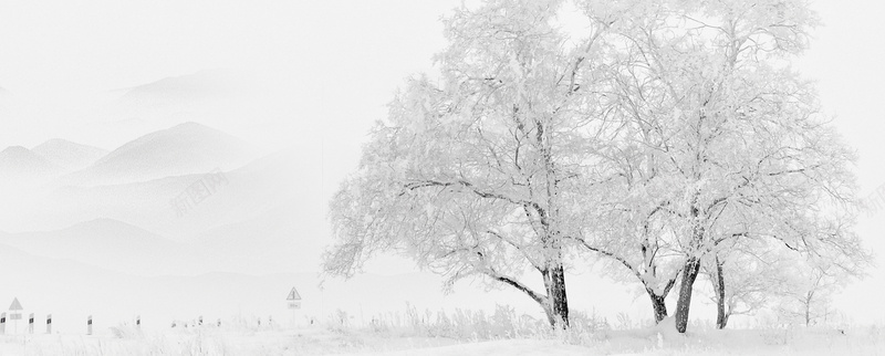 立冬雪松大气白色banner背景