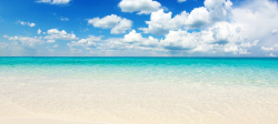 沙滩海景白菊花海边的高清图片