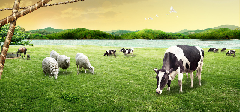 绿色草地草原羊奶牛河畔海报bannerpsd设计背景_88icon https://88icon.com 小清新 文艺 海报banner 简约 绿色草地草原羊奶牛河畔