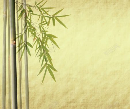 竹背景背景