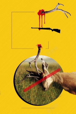 关注生态保护野生动物海报背景模板高清图片