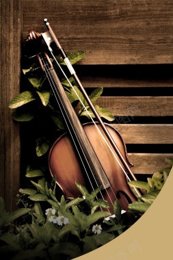 风景小提琴绿叶黄底背景摄影图片