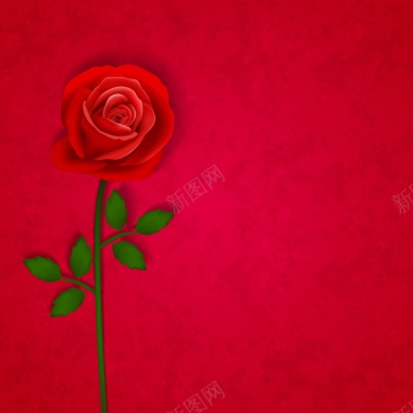 红色玫瑰矢量图背景