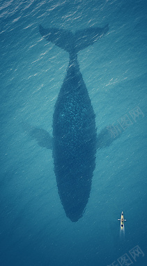 蓝色海洋鲸鱼简约清新背景背景