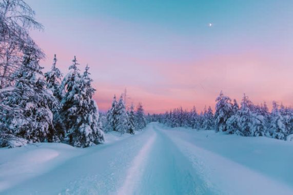 夕阳下雪后小路树林背景